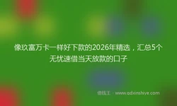 像玖富万卡一样好下款的2026年精选，汇总5个无忧速借当天放款的口子