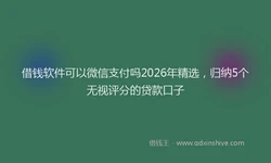 借钱软件可以微信支付吗2026年精选，归纳5个无视评分的贷款口子