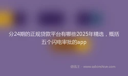 分24期的正规贷款平台有哪些2025年精选，概括五个闪电审批的app