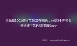 借钱花1001借钱花2025年精选，总结5个无视负债快速下款长期网贷的app