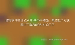 借钱软件微信公众号2026年精选，概括五个无视黑白下款8000左右的口子
