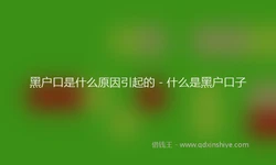 黑户口是什么原因引起的 - 什么是黑户口子