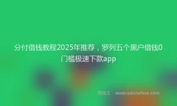 分付借钱教程2025年推荐，罗列五个黑户借钱0门槛极速下款app