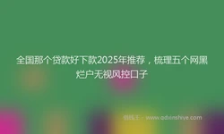 全国那个贷款好下款2025年推荐，梳理五个网黑烂户无视风控口子