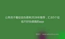 公务员不看征信负债率2026年推荐，汇总5个征信不好负债高的app