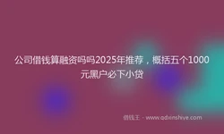 公司借钱算融资吗吗2025年推荐，概括五个1000元黑户必下小贷