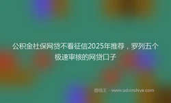 公积金社保网贷不看征信2025年推荐，罗列五个极速审核的网贷口子