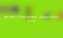 最新贷款口子不查征信有哪些 - 贷款app不查征信秒下的