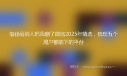 借钱给别人把我删了微信2025年精选，梳理五个黑户都能下的平台