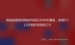 借钱能直接到微信吗现在2026年精选，梳理5个12月独家贷款的口子