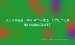 公主借款容易下款吗2025年精选，归纳五个无视黑白的最新贷款口子