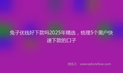 兔子优钱好下款吗2025年精选，梳理5个黑户快速下款的口子