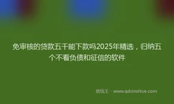 免审核的贷款五千能下款吗2025年精选，归纳五个不看负债和征信的软件