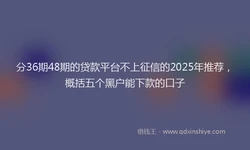 分36期48期的贷款平台不上征信的2025年推荐，概括五个黑户能下款的口子