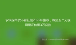 农银保单贷不看征信2025年推荐，概括五个无视网黑征信黑3万贷款