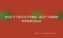 借钱花 好下款吗2025年精选，盘点5个有逾期借款容易通过的app