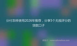 分付怎样使用2026年推荐，分享5个无视评分的贷款口子