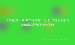 借钱花 好下款2025年推荐，梳理5个征信瑕疵也能借网贷轻松下款的平台