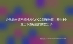 分乐购申请不通过怎么办2025年推荐，整合5个真正不查征信的贷款口子