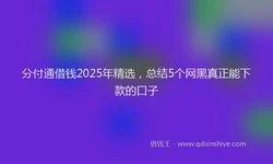 分付通借钱2025年精选，总结5个网黑真正能下款的口子