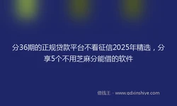 分36期的正规贷款平台不看征信2025年精选，分享5个不用芝麻分能借的软件