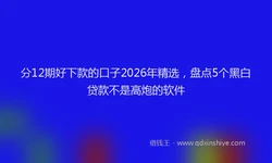 分12期好下款的口子2026年精选，盘点5个黑白贷款不是高炮的软件