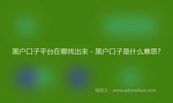 黑户口子平台在哪找出来 - 黑户口子是什么意思?