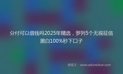 分付可以借钱吗2025年精选，罗列5个无视征信黑白100%秒下口子