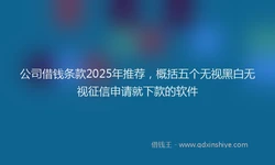 公司借钱条款2025年推荐，概括五个无视黑白无视征信申请就下款的软件