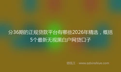 分36期的正规贷款平台有哪些2026年精选，概括5个最新无视黑白户网贷口子