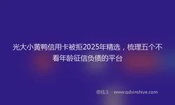 光大小黄鸭信用卡被拒2025年精选，梳理五个不看年龄征信负债的平台