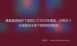 像盈盈借钱好下款的口子2025年精选，归纳五个无视黑花半夜下款的网贷软件