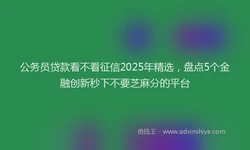 公务员贷款看不看征信2025年精选，盘点5个金融创新秒下不要芝麻分的平台