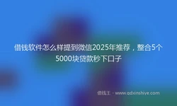 借钱软件怎么样提到微信2025年推荐，整合5个5000块贷款秒下口子