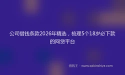 公司借钱条款2026年精选，梳理5个18岁必下款的网贷平台