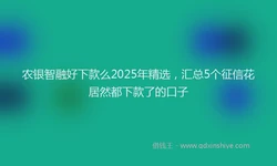 农银智融好下款么2025年精选，汇总5个征信花居然都下款了的口子