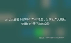分七云容易下款吗2025年精选，分享五个无视征信黑白户秒下款的贷款