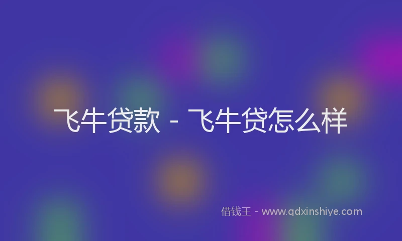 飞牛贷款 - 飞牛贷怎么样