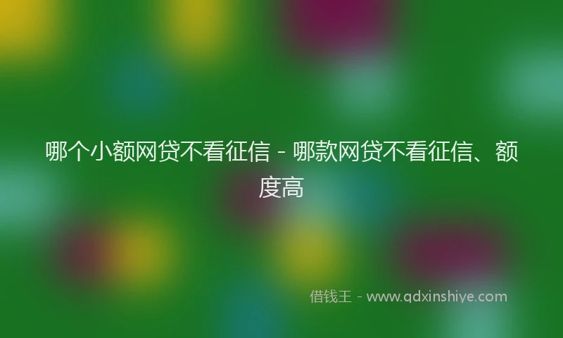 哪个小额网贷不看征信 - 哪款网贷不看征信、额度高
