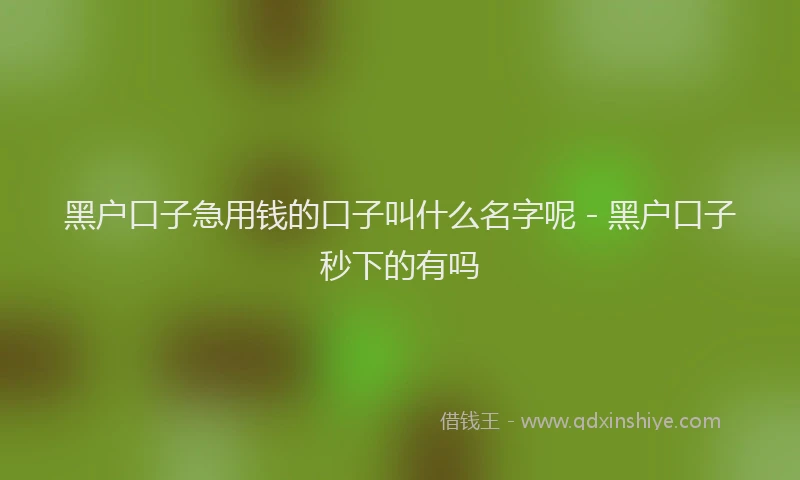 黑户口子急用钱的口子叫什么名字呢 - 黑户口子秒下的有吗
