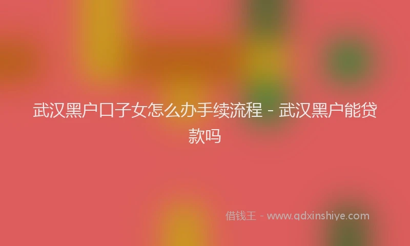 武汉黑户口子女怎么办手续流程 - 武汉黑户能贷款吗