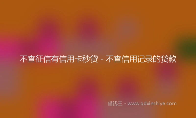 不查征信有信用卡秒贷 - 不查信用记录的贷款