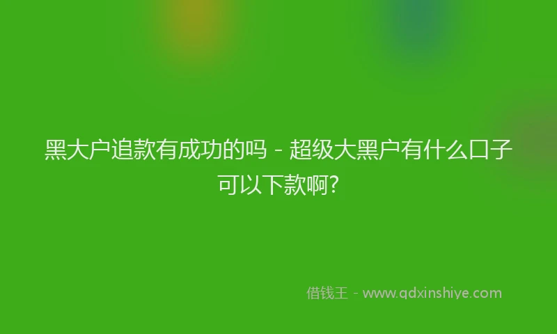 黑大户追款有成功的吗 - 超级大黑户有什么口子可以下款啊?