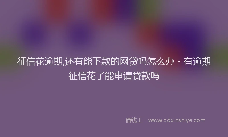 征信花逾期,还有能下款的网贷吗怎么办 - 有逾期征信花了能申请贷款吗