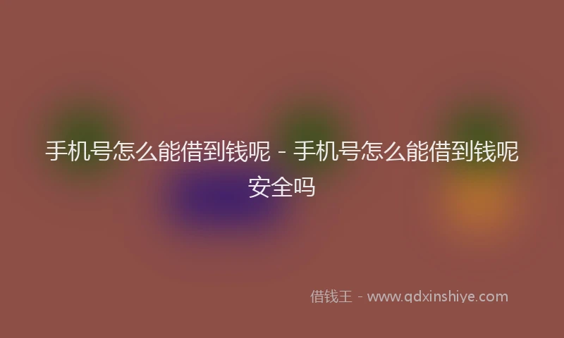手机号怎么能借到钱呢 - 手机号怎么能借到钱呢安全吗