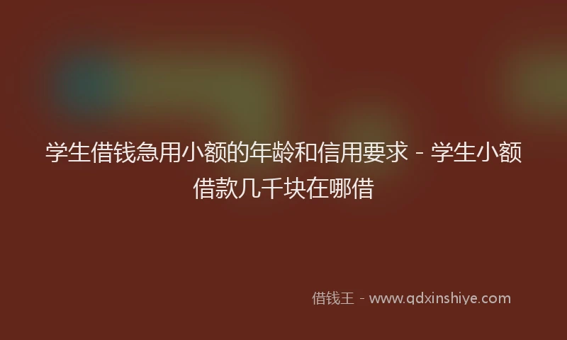 学生借钱急用小额的年龄和信用要求 - 学生小额借款几千块在哪借