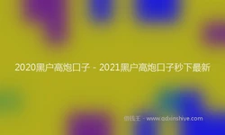 2020黑户高炮口子 - 2021黑户高炮口子秒下最新