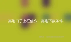 高炮口子上征信么 - 高炮下款条件