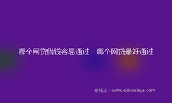 哪个网贷借钱容易通过 - 哪个网贷最好通过