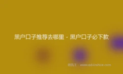 黑户口子推荐去哪里 - 黑户口子必下款